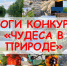 Итоги районного семейного конкурса фотографий «Чудеса в природе». - Краеведческий музей